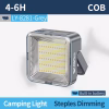 Portable LED Hanging Work And Camping Light